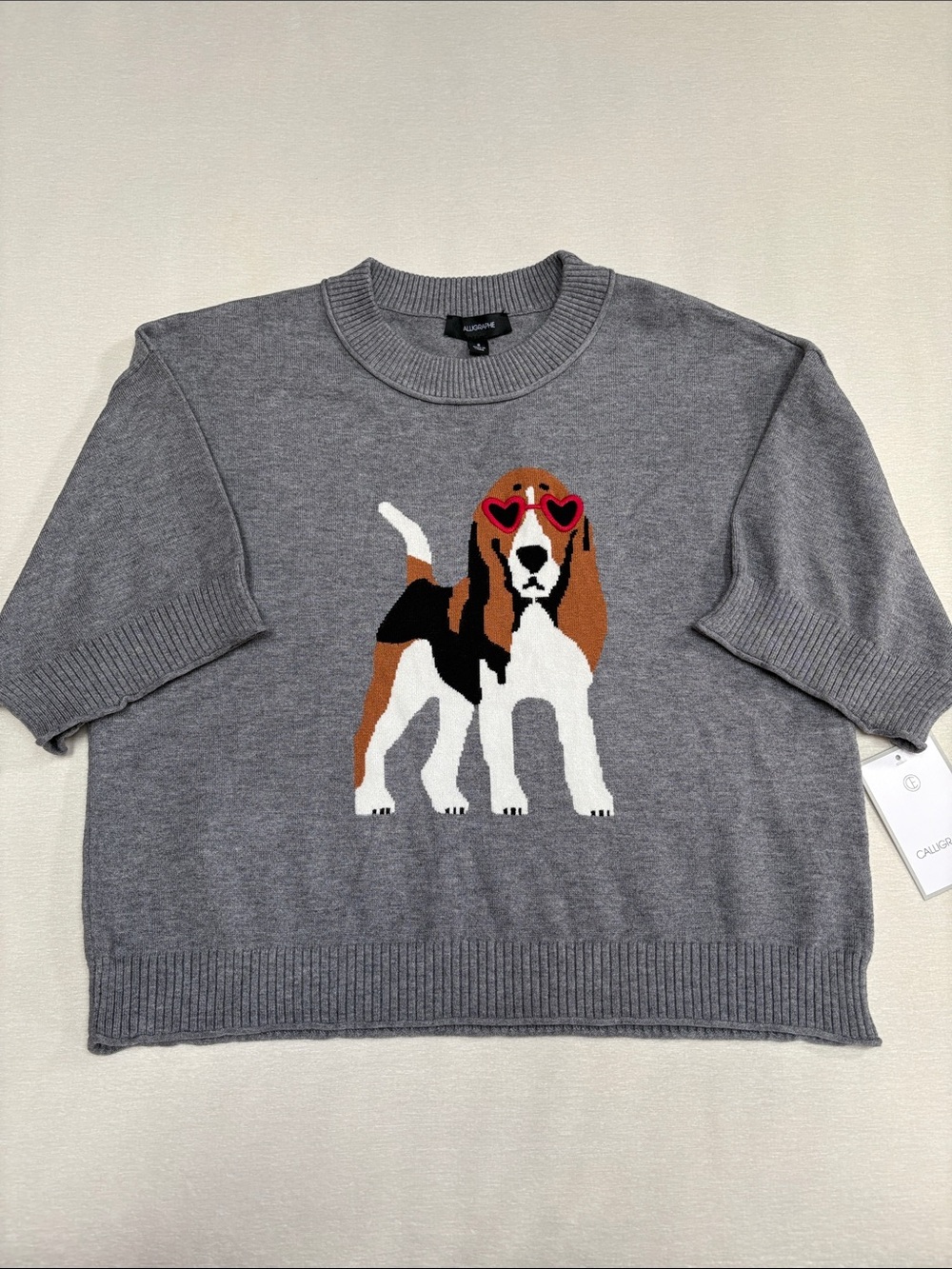 Knit Intarsia Beagle Short Sleeved Sweater - Dog wearing heart glasses.